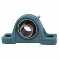 Ami Bearings SINGLE ROW BALL BEARING - 1-1/4 IN. NARROW SET SCREW LOW BASE PILLOW BLOCK BLP206-20